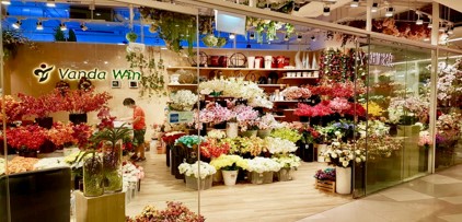 Vanda Win